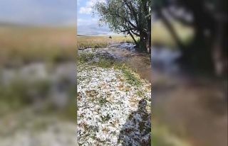 Sarıkamış’ta sağanak yağış sele neden oldu:...