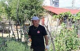 Şehir hayatından sıkıldı, mutluluğu köy hayatında...