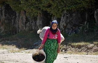 Şehir kavruluyor, yayla nefes aldırıyor