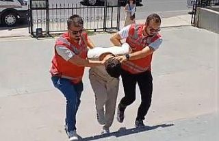 Şehitlerle dalga geçen şahıs tutuklandı