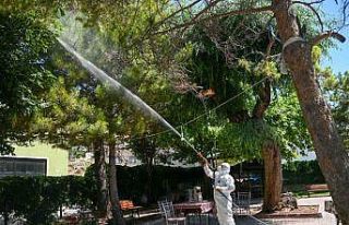 Selçuklu Belediyesi yeşil alan ilaçlamalarını...