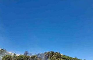 Selendi’de anız yangını korkuttu