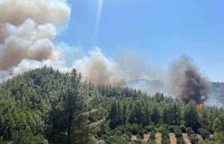 Serik’te orman yangını