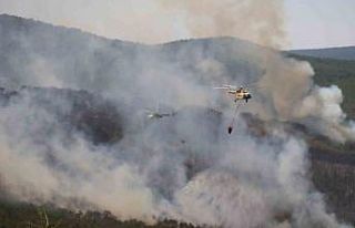 Seyitgazi’de çıkan yangın büyümeye devam ediyor