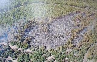 Seyitgazi’de yangının oluşturduğu tahribat havadan...