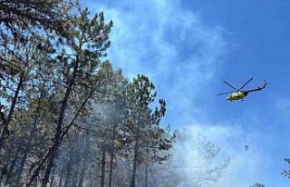 Seyitgazi’deki orman yangını kontrol altına alındı,...