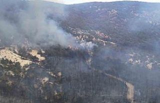 Seyitgazi’den Sarıcaova’ya sıçrayan yangın...