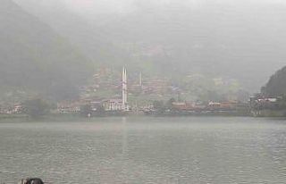 Sıcak hava Türkiye’yi kavururken, Uzungöl serinliğiyle...