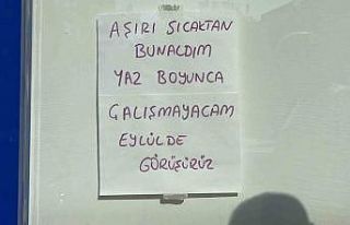 Sıcakların 45 dereceyi bulmasına dayanamayınca,...