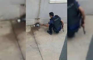 Sıcaktan bunalan güvercine polisten yardım eli