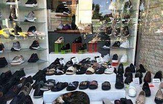 Sıcaktan bunalan kedinin çözümü görenlerin içini...