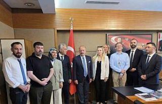 ‘Sigma formülü yönetmeliği’ Anayasa Mahkemesi...