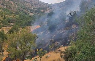 Siirt’te çıkan yangında 2 dönüm arazi zarar...