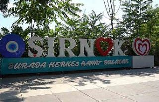 Silahların yakılması bölgeye umut getiriyor