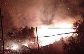 Silifke’de ağaçlık alanda çıkan yangın söndürüldü