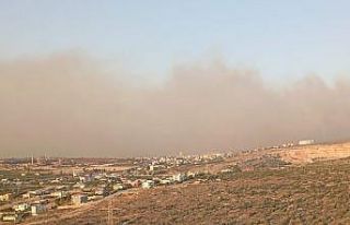 Silifke’de orman yangını