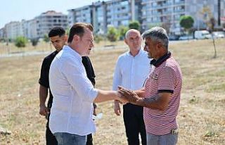 Silivri Belediyesi’nden sokak kedileri için yeni...