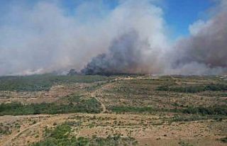Silivri’de tarım alanlarındaki yangın ormana...