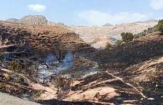 Silopi’de örtü yangını