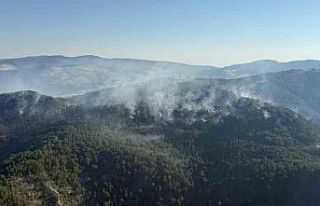 Sındırgı yangını kontrol altında