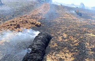 Sındırgı’da samanlar tarlada yandı