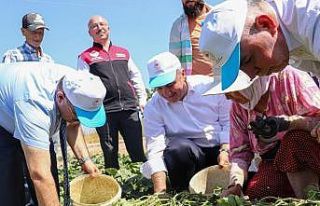 Sındırgı’da Vali İsmail Ustaoğlu kornişon...