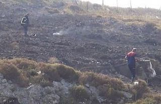 Sinop’ta çalılık alanda çıkan yangında kalan...