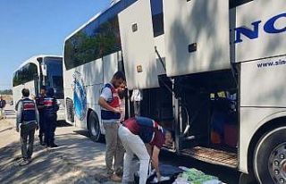 Sinop’ta düzensiz göçmen denetimi