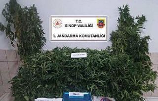 Sinop’ta uyuşturucu operasyonu: 1 tutuklama