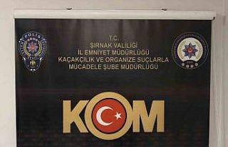 Şırnak’ta asayiş, kaçakçılık ve narkotik...