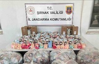 Şırnak’ta jandarmadan mali, narkotik ve kaçakçılık...