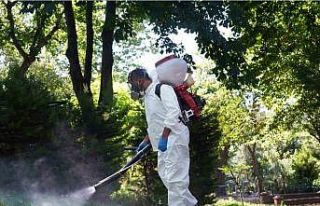 Şişli’de kene ve sineklere karşı etkin mücadele