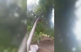 Siverek’te fırtına hayatı olumsuz etkiledi