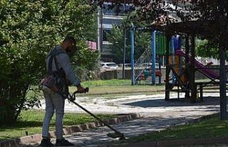 Söğüt’te park ve bahçeler güzelleştiriliyor