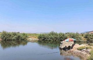 Söke’de su ürünleri denetimi yapıldı