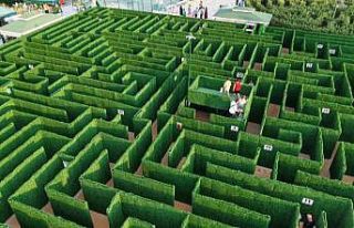 Soruları bilemeyen labirentten çıkamıyor