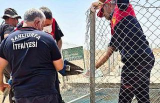 Sulama kanalında akıntıya kapılan kişinin cesedine...