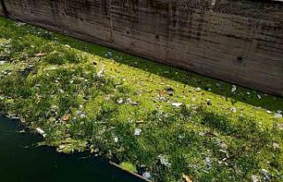 Sulama kanallarındaki kirlilik had safhaya ulaştı