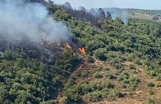 Sultangazi Kent Ormanı’ndan alevler yükseldi
