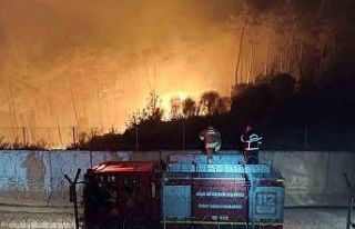 Suriye sınırında alevlerle mücadele gece karanlığında...