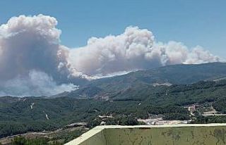 Suriye sınırında devam eden orman yangını için...