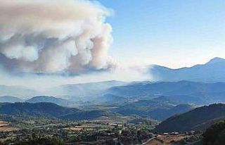 Suriye’de devam eden orman yangını Türkiye sınırına...