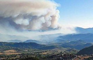 Suriye’den Yayladağı’na sıçrayan alevler kontrol...