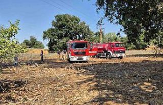 Susurluk’ta iki farklı noktada çıkan yangına...