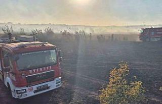 Susurluk’taki orman yangını kontrol altına alındı