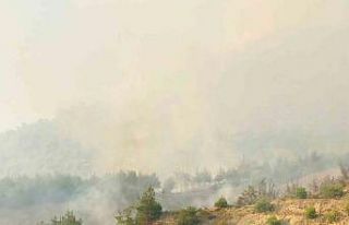 Tarihi İpek Yolu yanıyor