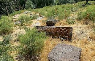 Tarihi mezarlık definecilerin hedefi oldu