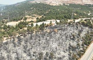 Tarihinin en büyük Gürsu yangınından yürek burkan...