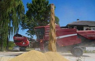 Tarım Akademisi’nde hasat bereketi