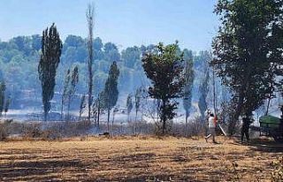 Tarım arazisinde çıkan yangın itfaiye ve çiftçilerin...